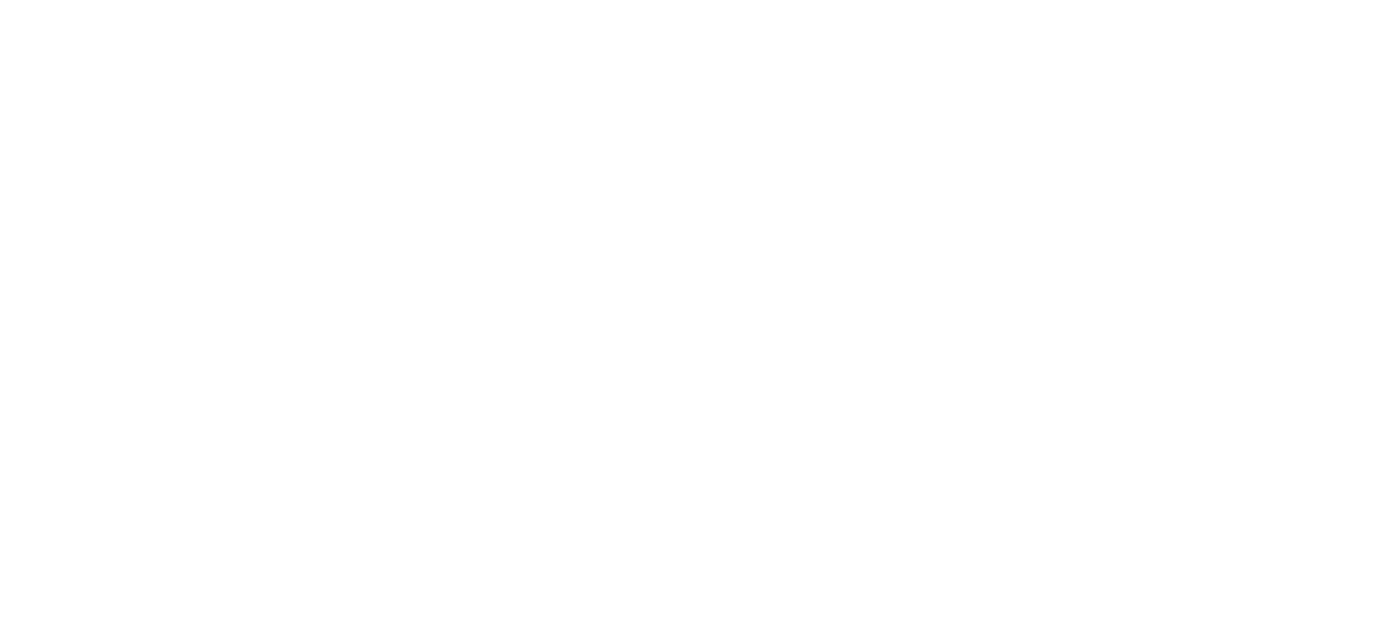 FIZMO logo